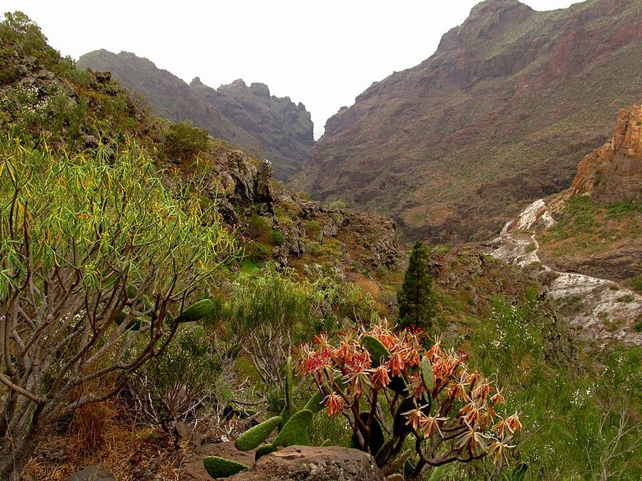 A photo found near this route
